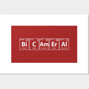 Bicameral (Bi-C-Am-Er-Al) Periodic Elements Spelling Posters and Art